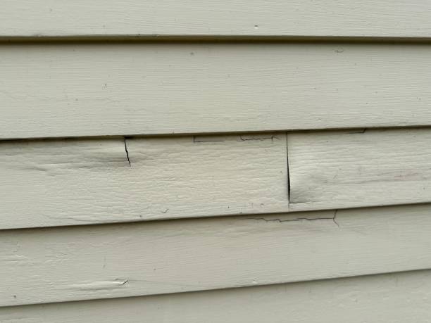 Best Stucco Siding  in Gonzales, CA